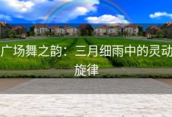 广场舞之韵：三月细雨中的灵动旋律