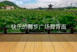 快乐的舞步广场舞背面