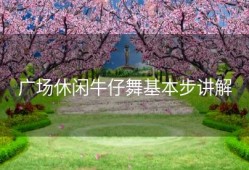 广场休闲牛仔舞基本步讲解