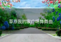 草原我的家广场舞舞曲