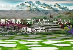 舞动青春，无悔人生：十六步广场舞教学指南