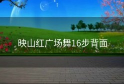 映山红广场舞16步背面