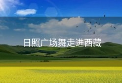 日照广场舞走进西藏