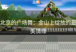 北京的广场舞：金山上绽放的最美情缘