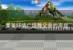 柔美抒情广场舞父亲的声音