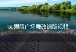 大眼睛广场舞改编版视频