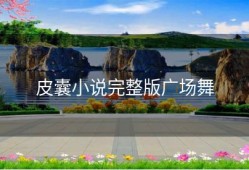 皮囊小说完整版广场舞