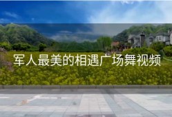 军人最美的相遇广场舞视频