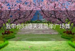 我带你归隐天涯简单广场舞