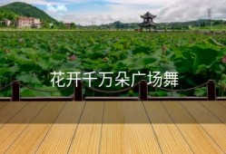 花开千万朵广场舞