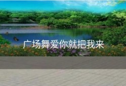 广场舞爱你就把我来