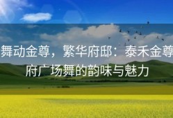 舞动金尊，繁华府邸：泰禾金尊府广场舞的韵味与魅力