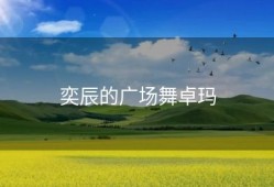 奕辰的广场舞卓玛