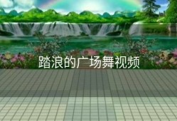 踏浪的广场舞视频