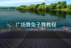 广场舞兔子舞教程