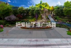 把爱给了谁广场舞