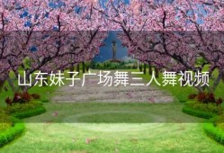 山东妹子广场舞三人舞视频