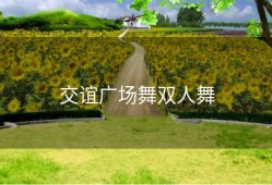 交谊广场舞双人舞