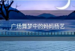 广场舞梦中的妈妈杨艺