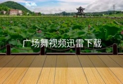 广场舞视频迅雷下载