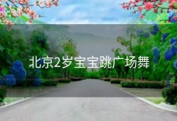 北京2岁宝宝跳广场舞