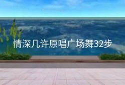 情深几许原唱广场舞32步