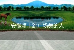安徽颍上跳广场舞的人