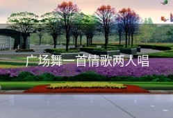 广场舞一首情歌两人唱