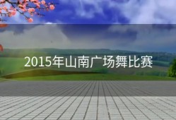 2015年山南广场舞比赛