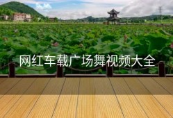 网红车载广场舞视频大全