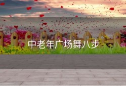 中老年广场舞八步