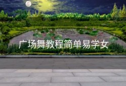 广场舞教程简单易学女