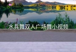 水兵舞双人广场舞小视频