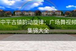 中平古镇韵动旋律：广场舞视频集锦大全