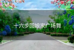 十六步回娘家广场舞