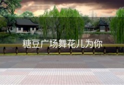 糖豆广场舞花儿为你