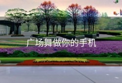 广场舞做你的手机