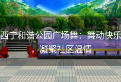 西宁和谐公园广场舞：舞动快乐，凝聚社区温情
