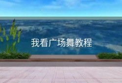 我看广场舞教程