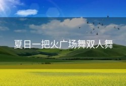 夏日一把火广场舞双人舞