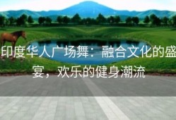 印度华人广场舞：融合文化的盛宴，欢乐的健身潮流