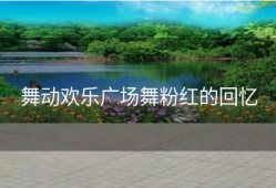 舞动欢乐广场舞粉红的回忆