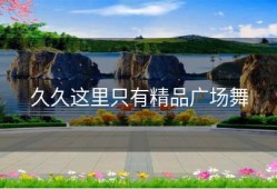 久久这里只有精品广场舞