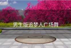 男生版追梦人广场舞