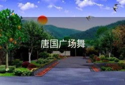 唐国广场舞