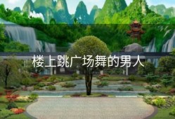 楼上跳广场舞的男人