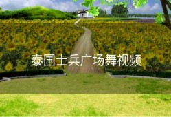 泰国士兵广场舞视频