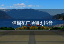 弹棉花广场舞dj抖音