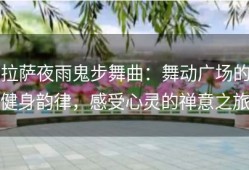 拉萨夜雨鬼步舞曲：舞动广场的健身韵律，感受心灵的禅意之旅