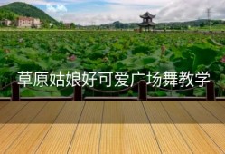 草原姑娘好可爱广场舞教学